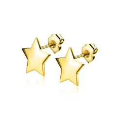 Online Zinzi 5,5mm Gold 14 krt gouden ster oorstekers 5,5mm ZGO315