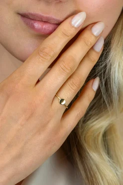 Online Zinzi Gold 14 krt gouden ring met glad rond plaatje ZGR554