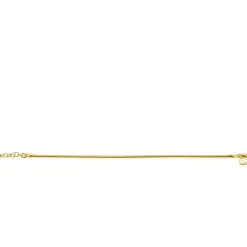 Hot Zinzi gold plated zilveren platte slangen-armband 2,5mm breed ZIA2401G