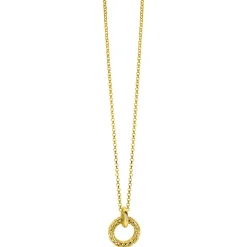 Hot Zinzi zilveren hanger extra 14K geel verguld rond met touweffect 19mm ZIH2246G (zonder collier)