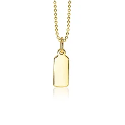 Sale Zinzi zilveren hanger geel verguld glad rechthoek ZIH2344G (zonder collier)