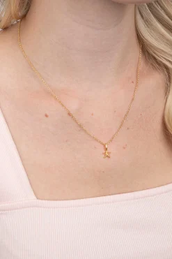 Best Zinzi zilveren hanger geel verguld zeester ZIH2064G (zonder collier)