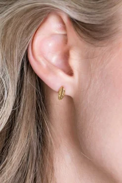 Sale Zinzi zilveren oorknoppen 14K geel verguld veertje 10mm ZIO2212G