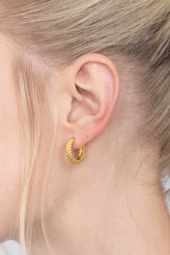 Discount Zinzi zilveren oorringen 17x4mm geel verguld bolletjes ZIO1968CRG