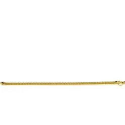 Best Zinzi zilveren schakelarmband geel verguld vossenstaart 2.5mm breed 19cm ZIA1287G